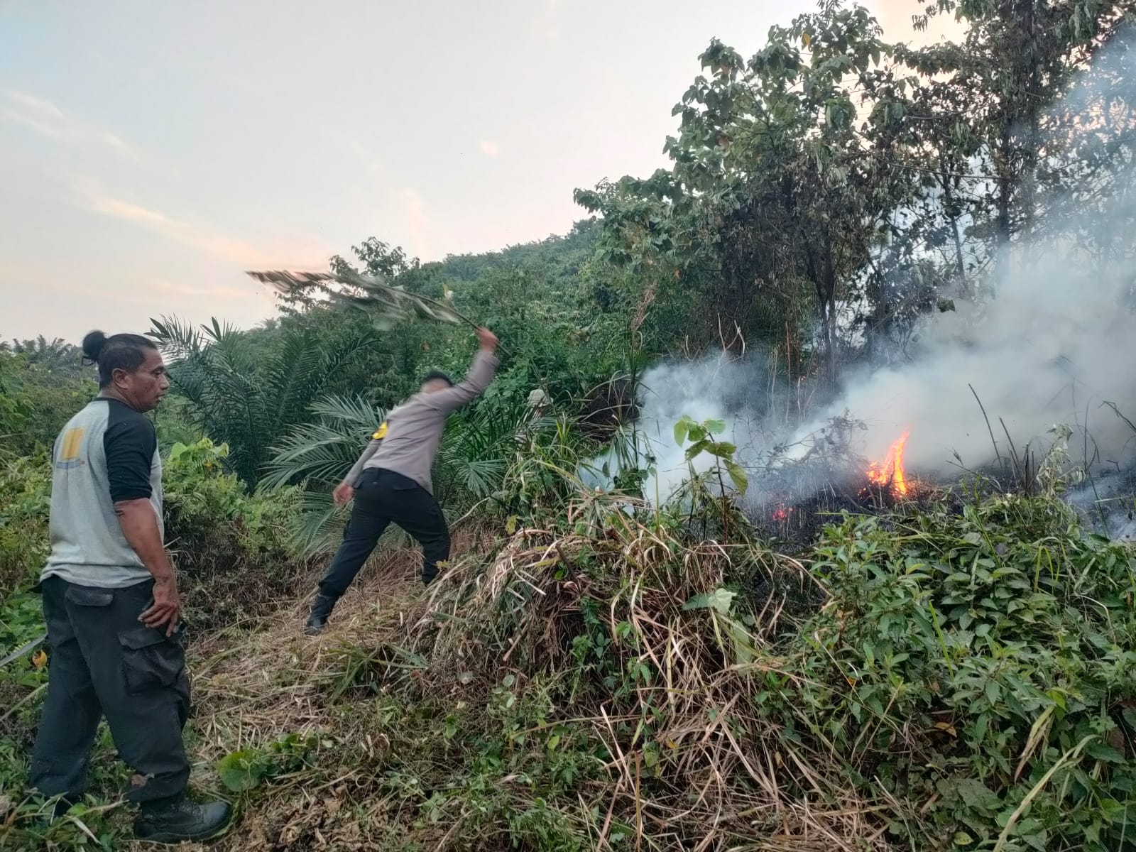 Personil Polres Dharmasraya Bersama Tim Damkar Bersitungkin Padamkan Api Membakar Kebun Sawit 